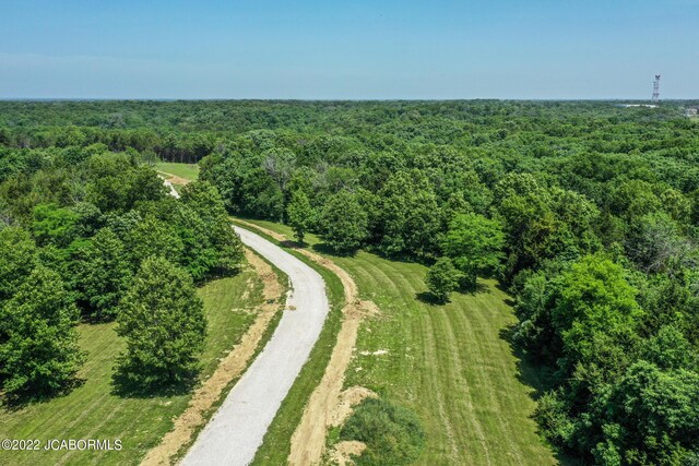 10 The Blfs, Holts Summit, MO 65043 - photo 7