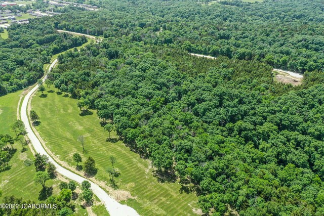 10 The Blfs, Holts Summit, MO 65043 - photo 11