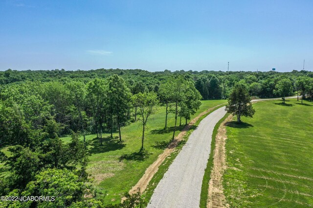 10 The Blfs, Holts Summit, MO 65043 - photo 4