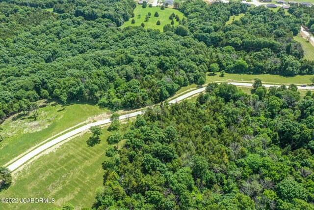 10 The Blfs, Holts Summit, MO 65043 - photo 12