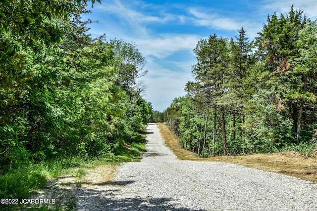 10 The Blfs, Holts Summit, MO 65043 - photo 2