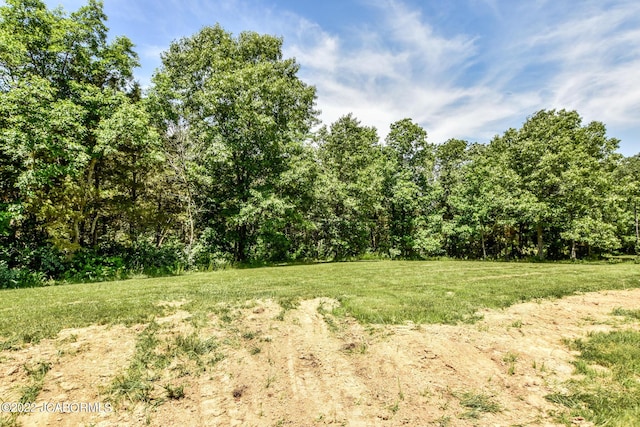 10 The Blfs, Holts Summit, MO 65043 - photo 1