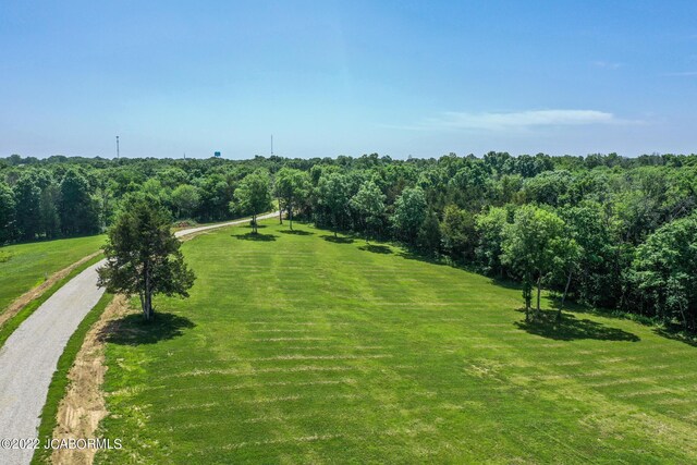 10 The Blfs, Holts Summit, MO 65043 - photo 5