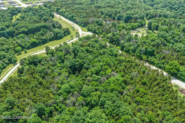 10 The Blfs, Holts Summit, MO 65043 - photo 13