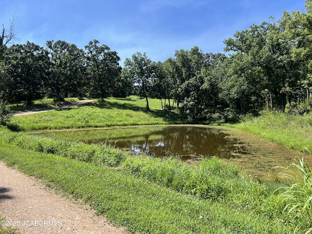6262 Stringtown Rd, Russellville, MO 65074 - photo 50