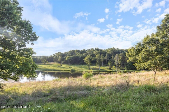 6262 Stringtown Rd, Russellville, MO 65074 - photo 48
