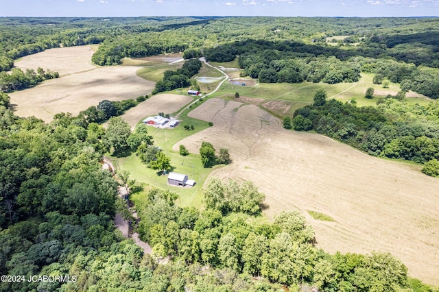 bird's eye view