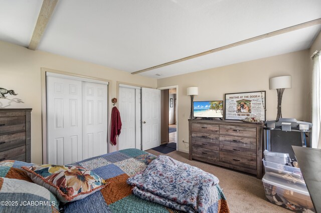 6733 Rocking Horse Ln, Fulton, MO 65251 - carpeted bedroom featuring multiple closets