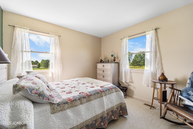6733 Rocking Horse Ln, Fulton, MO 65251 - carpeted bedroom with multiple windows and baseboards