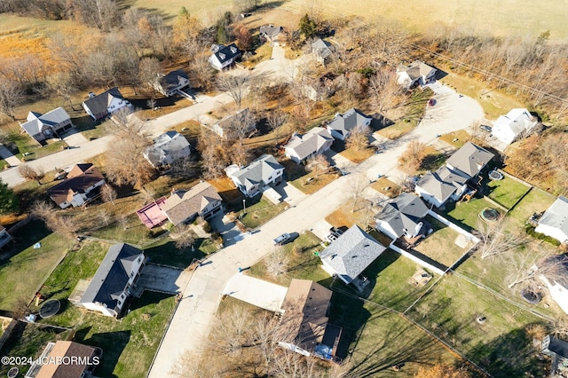 bird's eye view