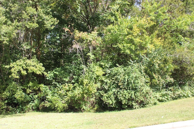 337 David St, Jefferson City MO, 65101 land for sale