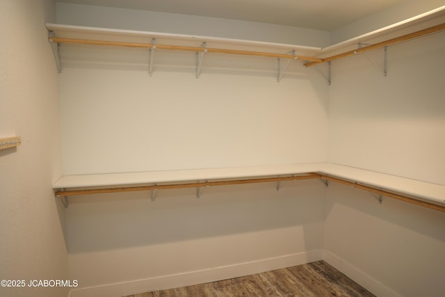 walk in closet featuring wood finished floors