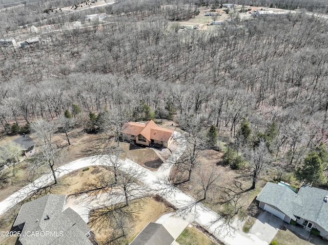 160 Ravenwood Dr, Camdenton, MO 65020 - birds eye view of property