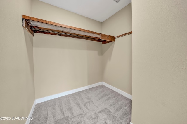 160 Ravenwood Dr, Camdenton, MO 65020 - walk in closet with carpet floors