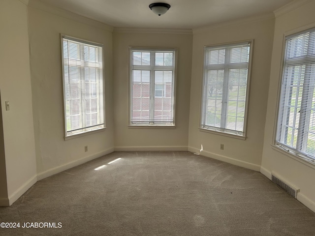 empty room featuring crown molding and light colored carpet