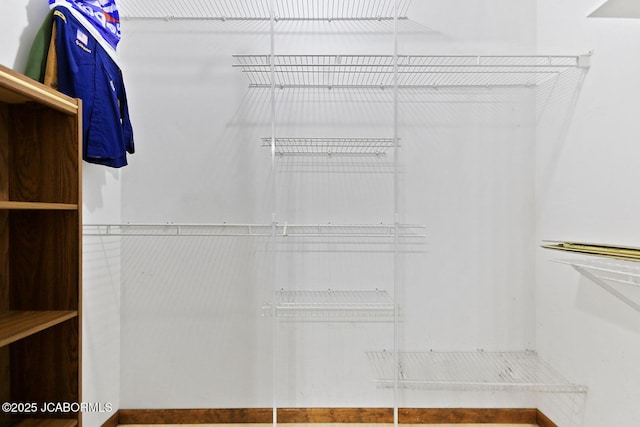 3861 State Road H, Fulton, MO 65251 - view of walk in closet