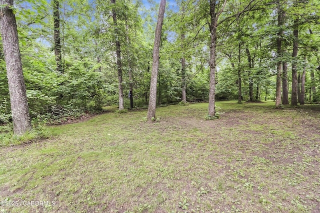 9542 Osage Ct, Williamsburg, MO 63388 - view of yard featuring a wooded view