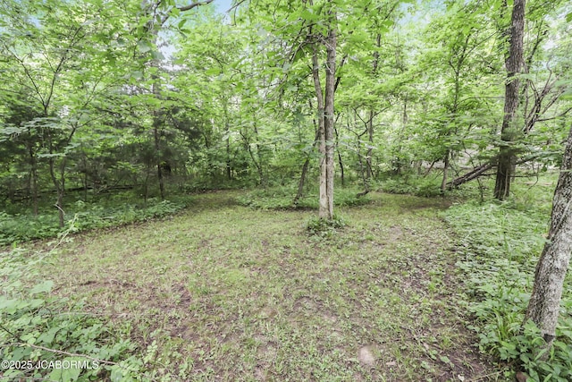 9542 Osage Ct, Williamsburg, MO 63388 - view of yard featuring a view of trees