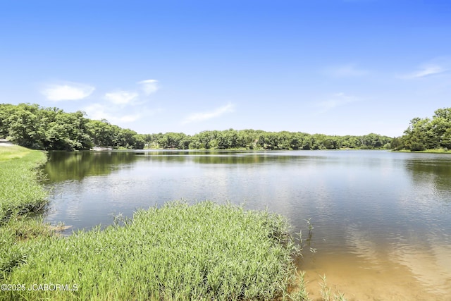 9542 Osage Ct, Williamsburg, MO 63388 - water view
