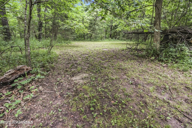 9542 Osage Ct, Williamsburg, MO 63388 - view of yard with a wooded view
