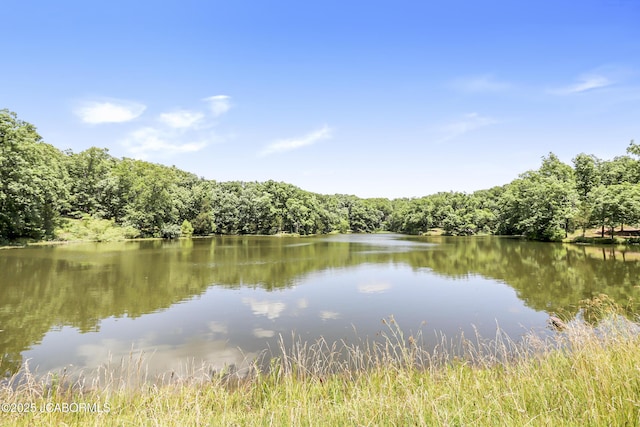 9542 Osage Ct, Williamsburg, MO 63388 - water view featuring a forest