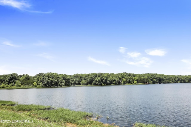 9542 Osage Ct, Williamsburg, MO 63388 - water view featuring a forest