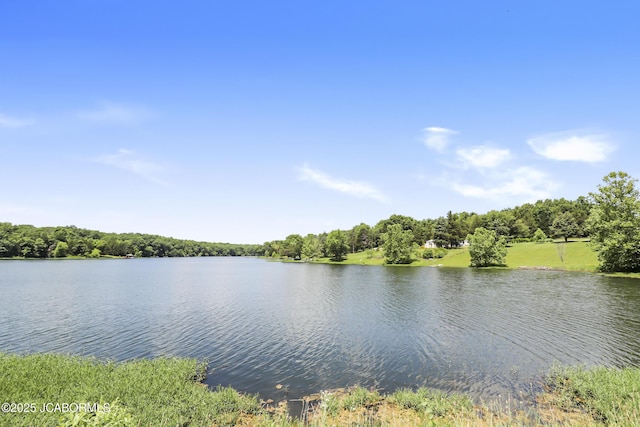 9542 Osage Ct, Williamsburg, MO 63388 - water view