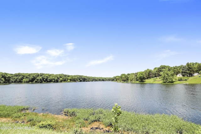 9542 Osage Ct, Williamsburg, MO 63388 - water view