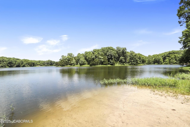 9542 Osage Ct, Williamsburg, MO 63388 - water view with a heavily wooded area
