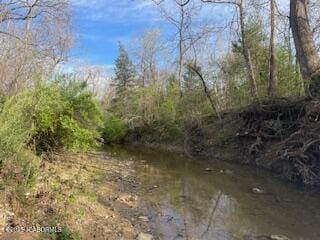 9542 Osage Ct, Williamsburg, MO 63388 - view of nature