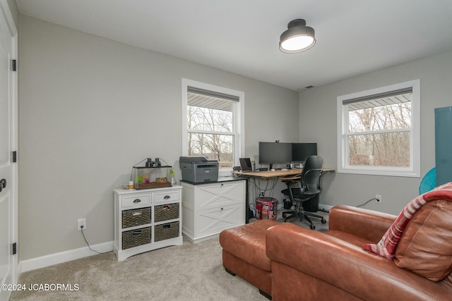 home office with light carpet