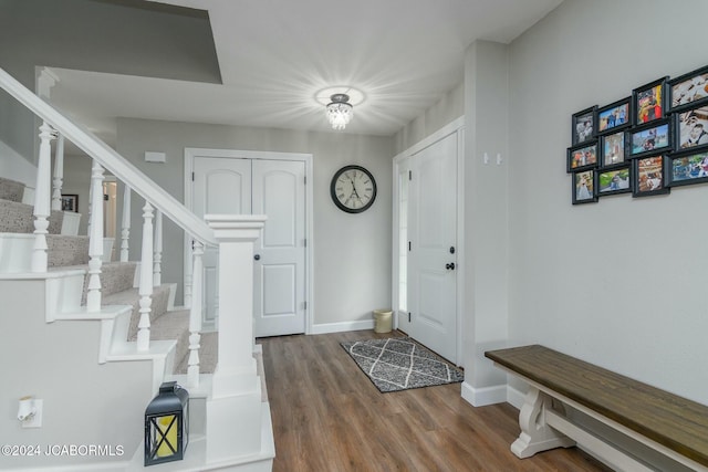 entrance foyer featuring wood-type flooring