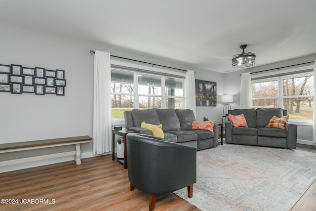 living room with wood-type flooring and a wealth of natural light