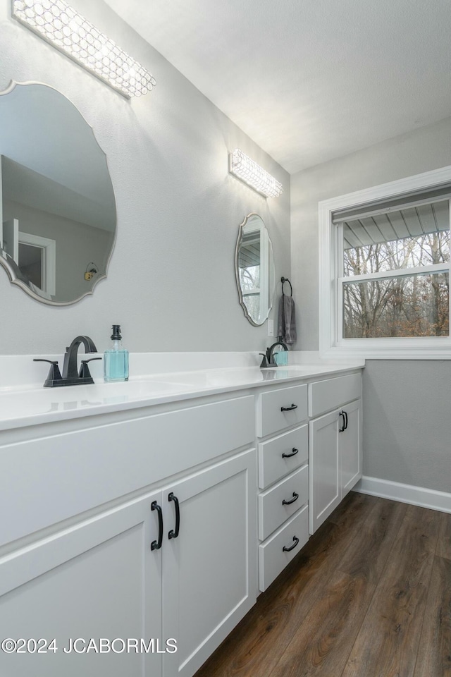 bathroom with hardwood / wood-style flooring and vanity