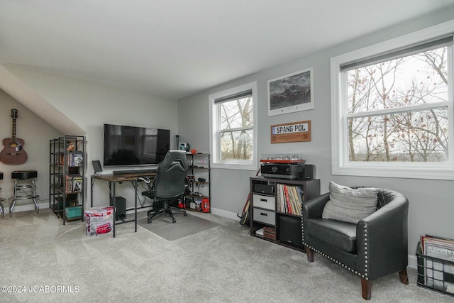 view of carpeted office