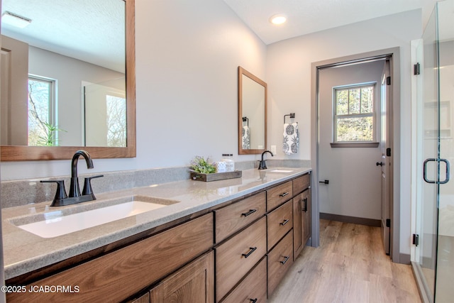 bathroom with vanity, hardwood / wood-style flooring, a healthy amount of sunlight, and walk in shower