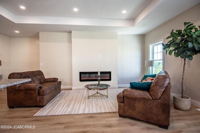 living room featuring light wood-type flooring and a raised ceiling