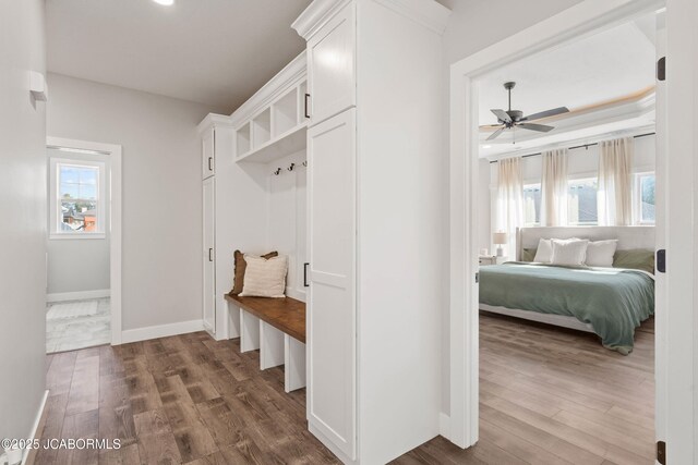 15005 Wrangle Ln, Ashland, MO 65010 - mudroom featuring a healthy amount of sunlight, baseboards, dark wood-type flooring, and a ceiling fan
