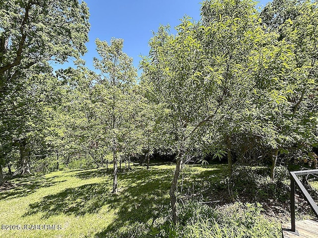 817 Gilman St, Moberly, MO 65270 - photo 11