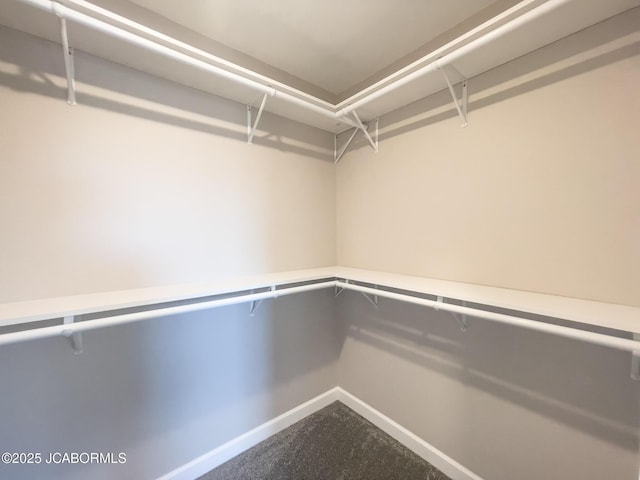 walk in closet with carpet flooring