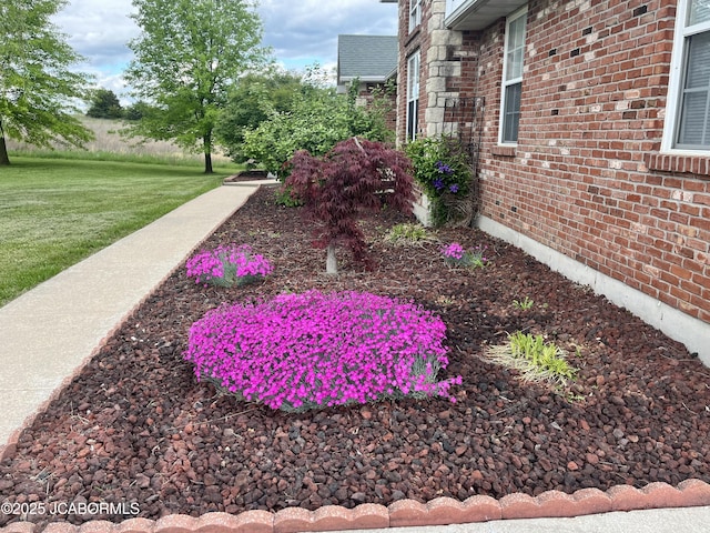 31500 Skyline Dr, California, MO 65018 - view of yard