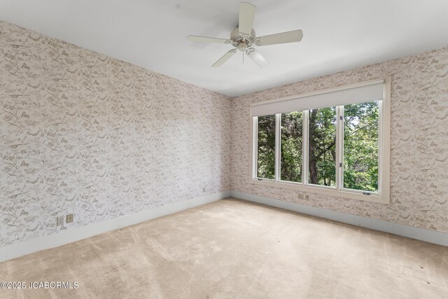 1102 Vineyard Sq, Jefferson City, MO 65101 - photo 16