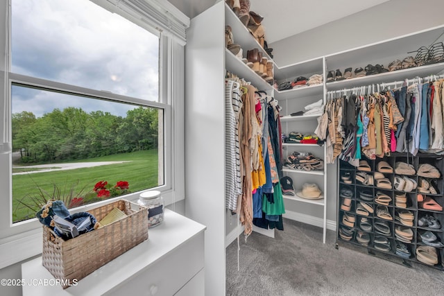 1503 State Highway Z, Centertown, MO 65023 - walk in closet with carpet flooring