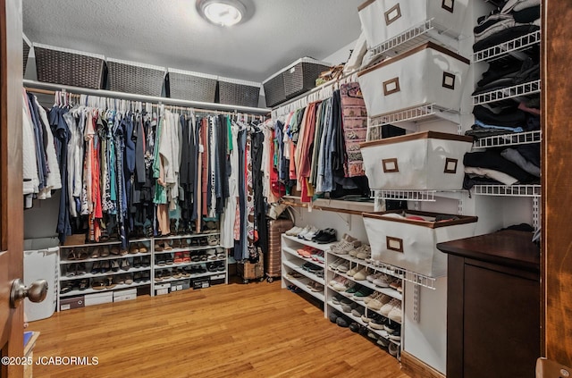5004 Bates Creek Ct, Columbia, MO 65201 - walk in closet with wood finished floors