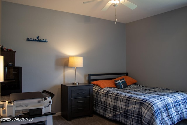 511 Morgan St, California, MO 65018 - photo 11