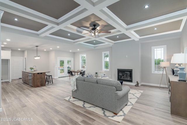 living area with a healthy amount of sunlight and light wood-type flooring