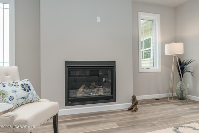 details featuring baseboards, wood finished floors, and a glass covered fireplace