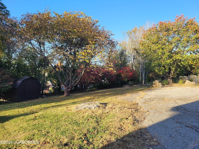 view of yard featuring a storage shed