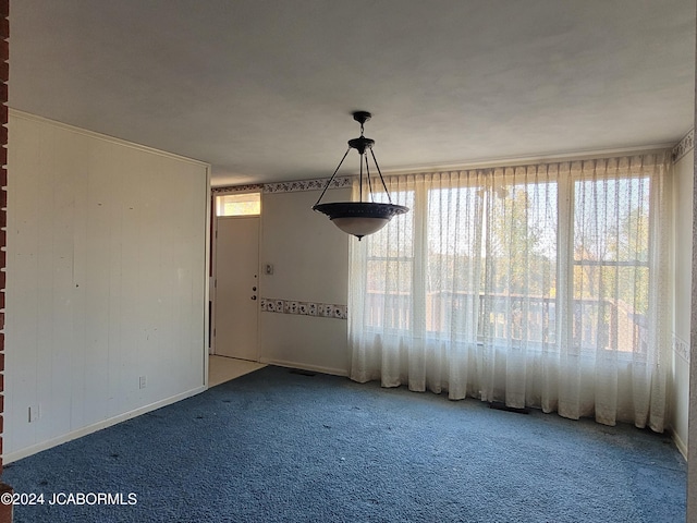 spare room with carpet and a wealth of natural light