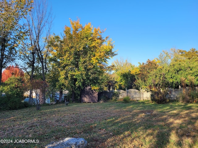 view of yard